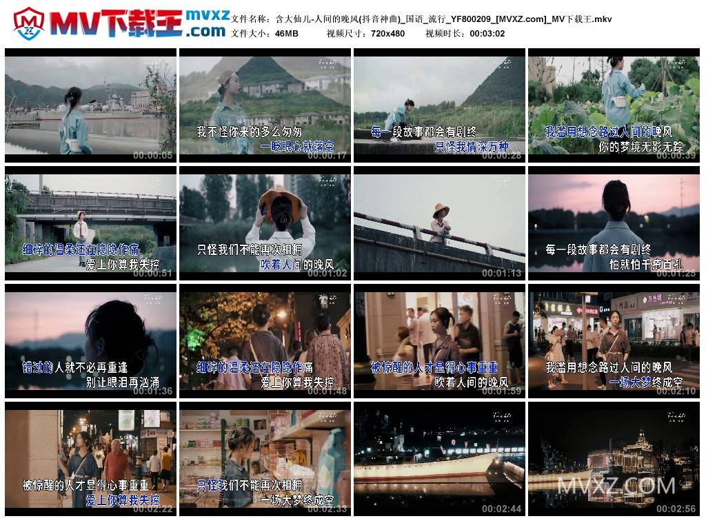 含大仙儿-人间的晚风(抖音神曲)_国语_流行_YF800209